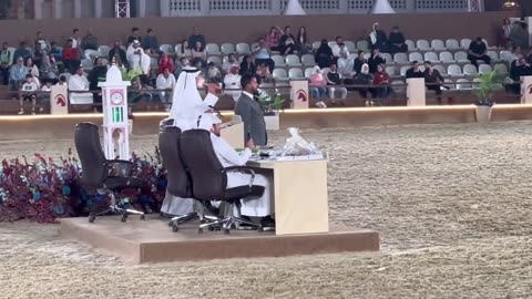 Arabic Horses Auction