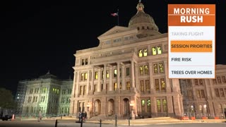 Texas House Speaker Dade Phelan forms gun legislation committee