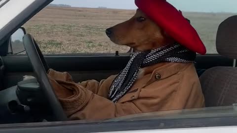 El encargado anduvo recorriendo el campo en camioneta!