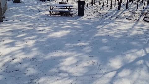 Runaway Trash Can on Icy Ground