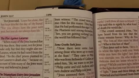 John 12 - MEV Bible