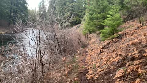 Along for the Journey with Metolius River – Metolius River – Central Oregon