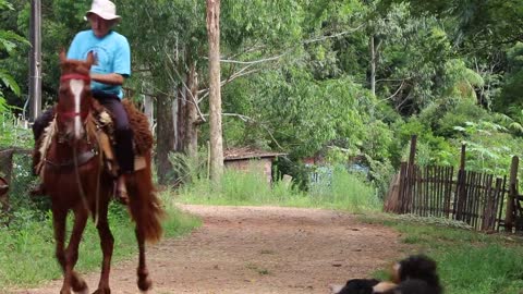 My Hobby- Horseback Riding