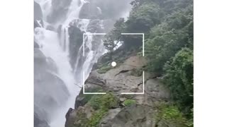 Feel the music| nature video|waterfall video |video