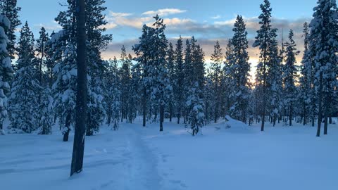 Sunrise Winter Wonderland – Central Oregon – Swampy Lakes Sno-Park – 4K