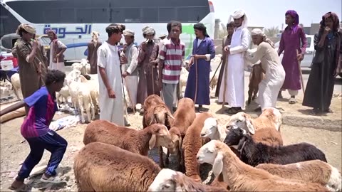 A 'sad Eid' for Sudanese far from home