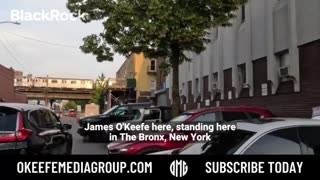 BlackRock Recruiter PANICS When Confronted by James O’Keefe