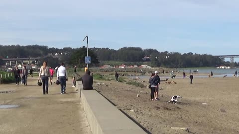 San Francisco, CA — Crissy Field