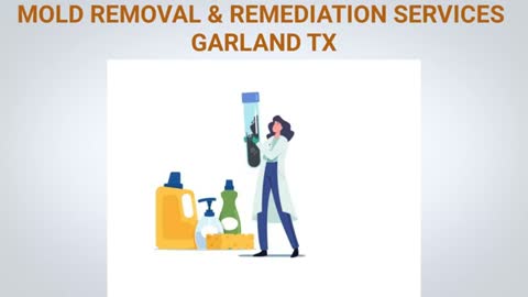 Affordable Mold Removal in Garland, TX