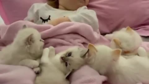 Cats and baby funny moments cute 🥰🥰