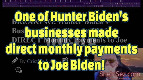 One of Hunter Biden's businesses made direct monthly payments to Joe Biden!-SheinSez 373