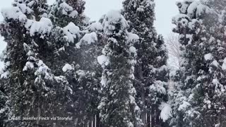 Northern Colorado drivers urged to stay off the roads