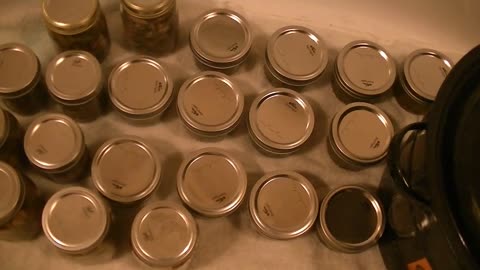 CANNING THE REST OF THE GREEN BEANS