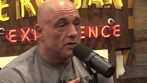Joe Rogan On Why Most Doctors Are Silent On COVID Vax Injuries & Deaths