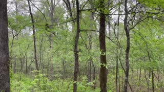 Bob Sandlin State Park in Texas