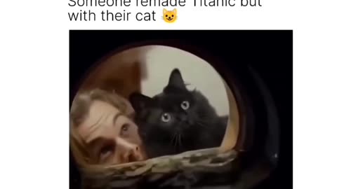 Titanic with cat