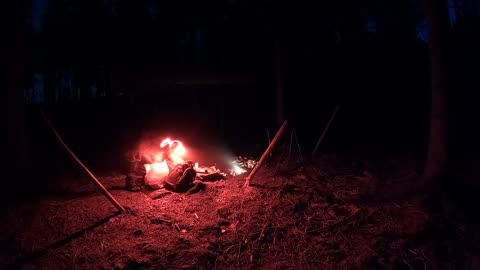 Campfire under a tarp. Woodland wildcamping. Nightlapse GoPro. 21st Jan 2023