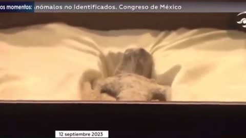 1,000 Years old Ancient Alien Corpses from Cusco Peru