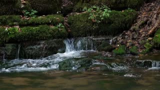 Relaxing River Sounds -1 hour Peaceful Forest river - healing sounds