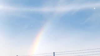 Sun Dogs and Snowbows