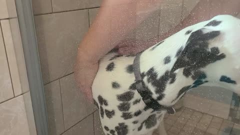 Luna in a Shower