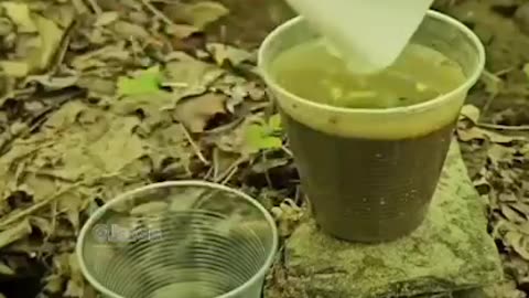 Water purification in the heart of nature Using gravity and paper towels