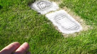 Salem Cemetery in Wales Wisconsin A man just 64 years old, in the grave