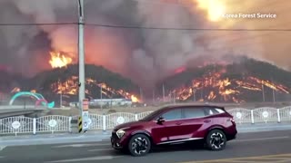 Footage shows wildfire near S. Korea nuclear plant