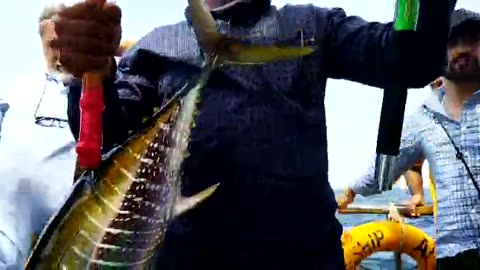 Fishing at charna island Trolling in salt water arabian sea