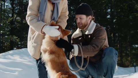 Dog is family with parking telling