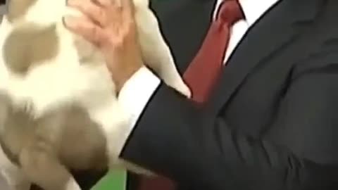 Putin and dog