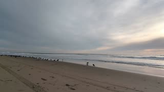 Timeless Beach Scape