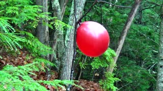 Balloon