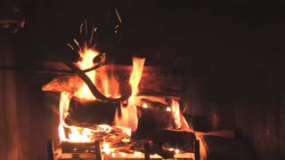 4 Relaxing Wild Music with Beautiful Fireplace