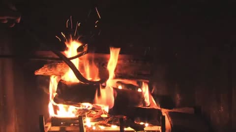 4 Relaxing Wild Music with Beautiful Fireplace