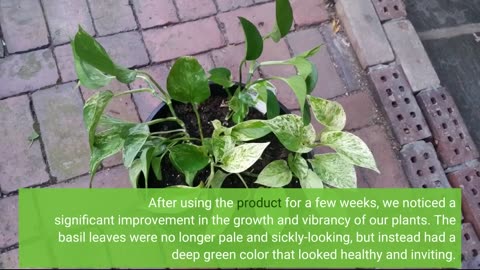 Customer Comments: Miracle-Gro Indoor Plant Food (Liquid)