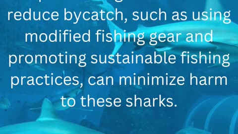 facts about tiger shark...12/13