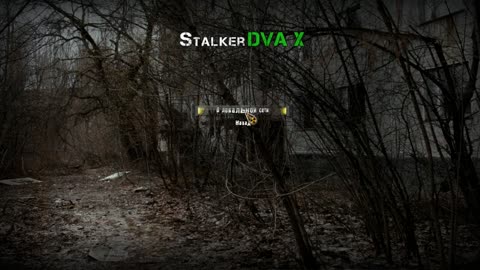 📹 Гайд по установке мода Stalker DVA_X.