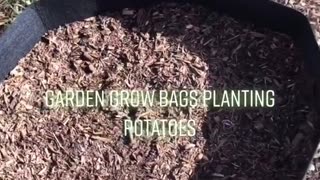 Grow Bags for Potatoes