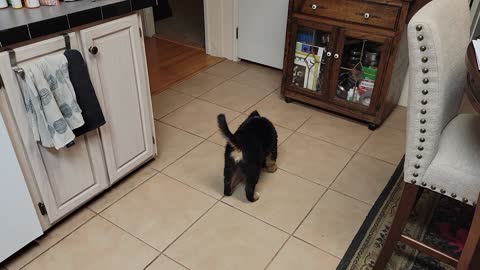 THEO IN THE KITCHEN