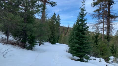 Blue Skies Smiling – Ochoco National Forest – Bandit Springs Sno-Park – Central Oregon – 4K