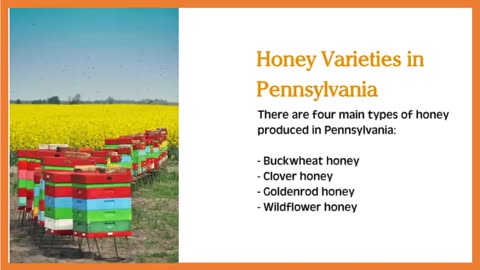 Bee Supplies Pennsylvania