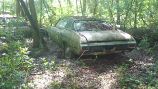 Chevelle Old Barn Find