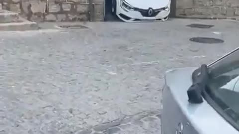 guy tries to drive down stairs in a car.