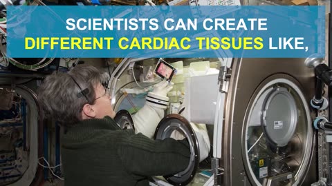 cardiac Biology In space