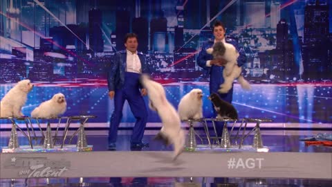 Jump-Roping Dog - Olate Dogs Audition - America's Got Talent Season 7