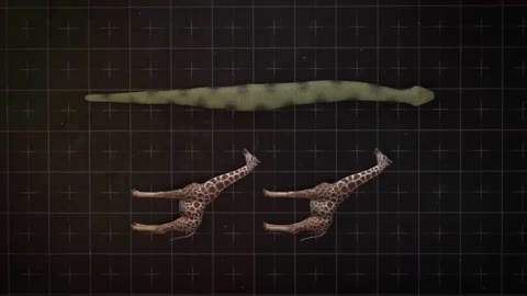 What If Titanoboa Snake Didn't Go Extinct?7