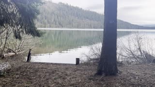 Overview of 3 BEST Campsites – #10, #12, #11 – Link Creek Campground – Suttle Lake – 4K