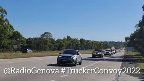 Convoy to Canberra. Inspired by the protest of Canadian truckers, a 20km convoy heads to the Australian capital