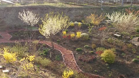 Our flower garden and scenery in Nasu, Japan.